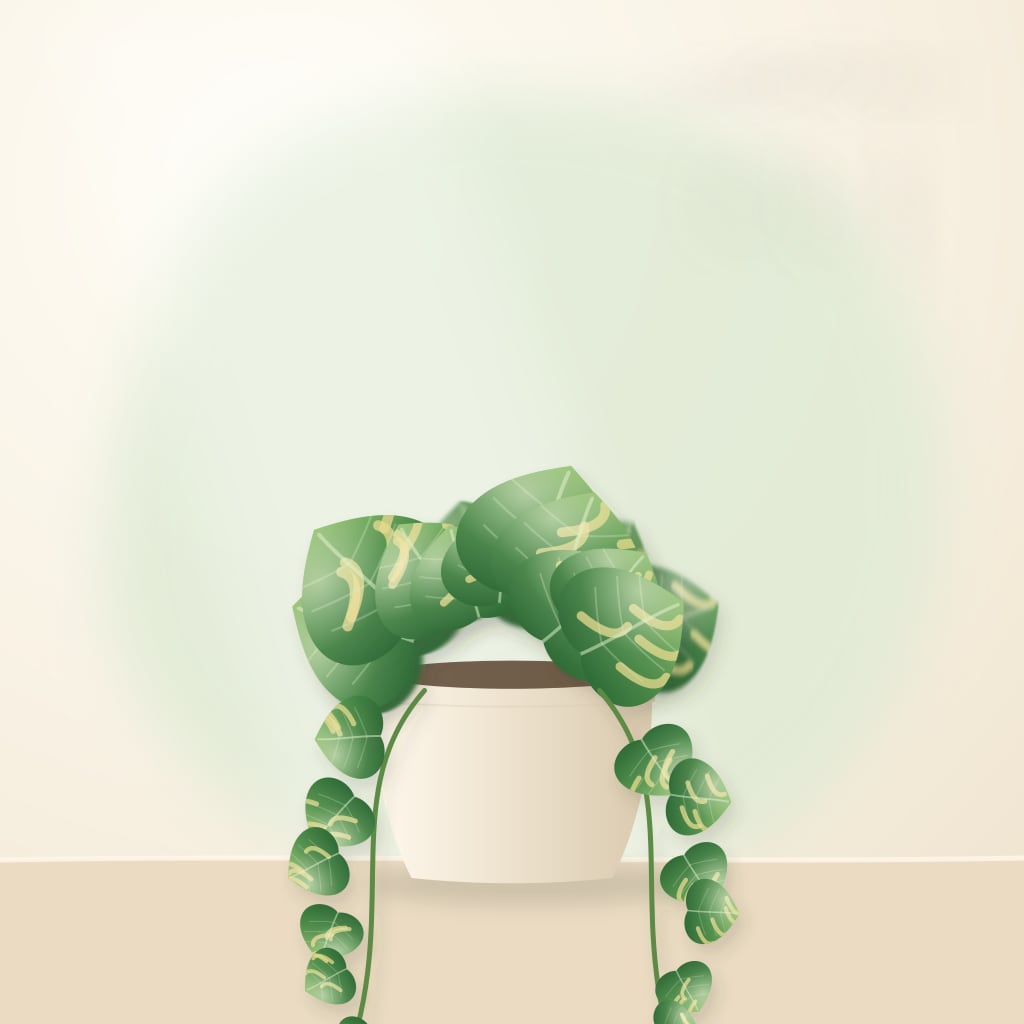 Golden pothos trailing from a cream ceramic pot in soft daylight